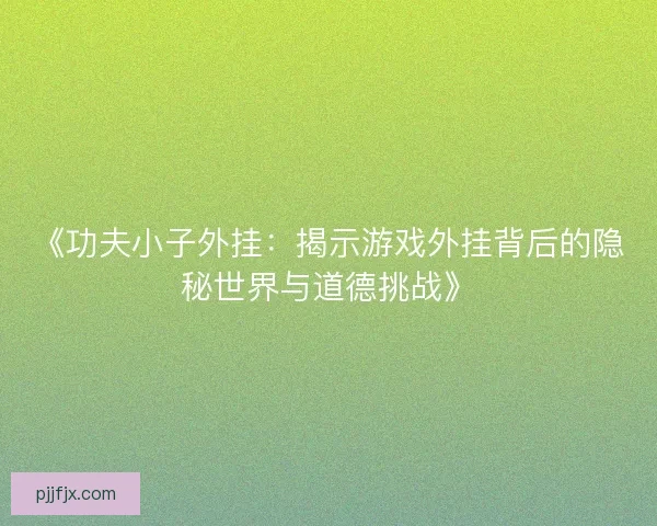 《功夫小子外挂：揭示游戏外挂背后的隐秘世界与道德挑战》